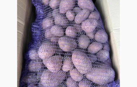 Продам картоплю