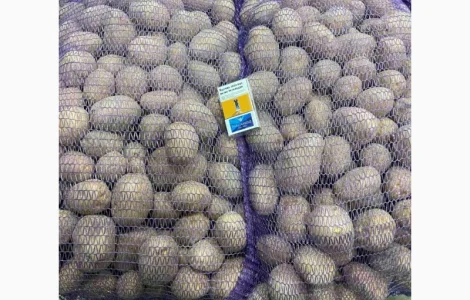 Продаю картоплю, рожева, біла