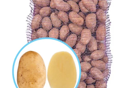 Сорт картофеля Ривьера – ультраранний упаковка 2.5кг