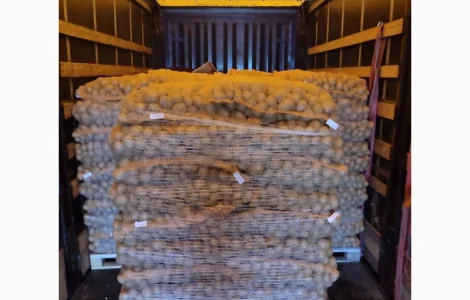 Продам товарну картоплю сорт Гранада з 20 тонн