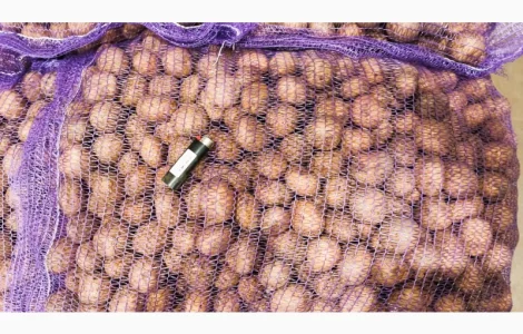 Картопля Тоскана