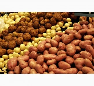 Куплю картоплююю