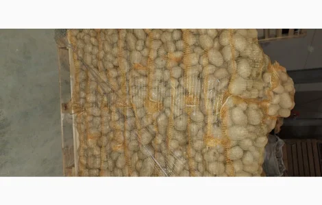 Продам картофель в Польше