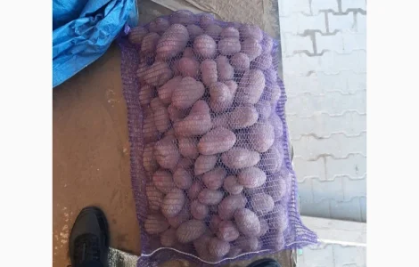 Продам товарний картофель