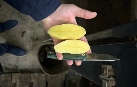 Куплю картофель для столовых(второй сорт)