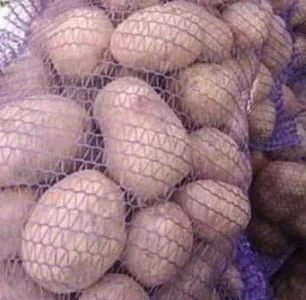 Продам товарну картоплю сорту слов'янка