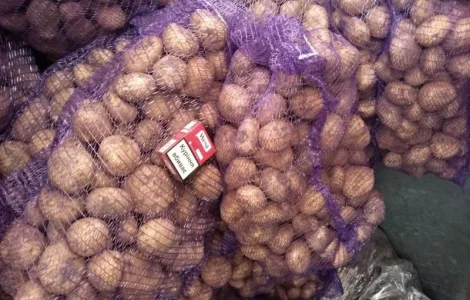 Продаж оптової картоплі товарної