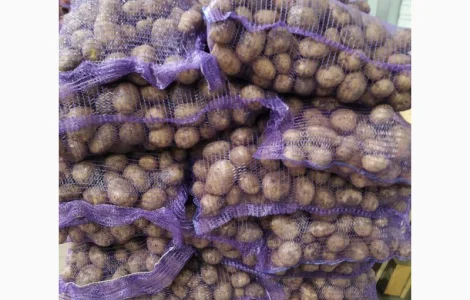 Оптом продам картоплю товарну