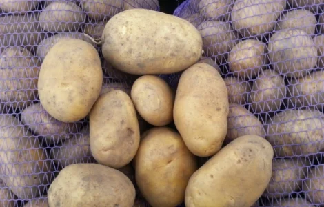 Оптовий продаж якісної картоплі