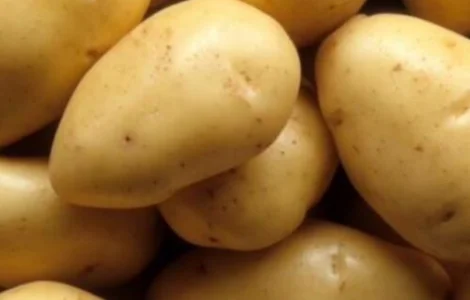 Продаж оптом картоплю якісну у Вінниці