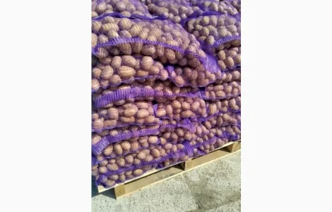 Продам насіннєву картоплю