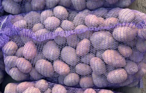 Куплю картошку домашнюю и фермерскую