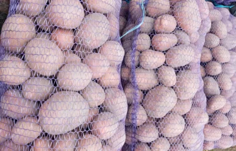 Продам картоплю