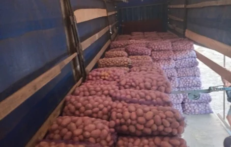 Продам картоплю