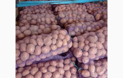 Продам картоплю хорошої якості
