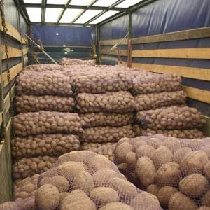 Продам Картофель різних сортів товарний вид доставка