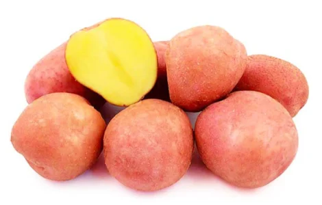 Реалізація насінневої картоплі. Сорт Беллароза. Перша репродукція. Роздріб від 20 кг