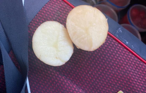 Картошка опт