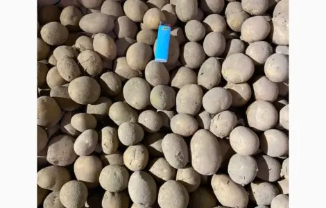 Продам посадку Аризоны 2 репродукция
