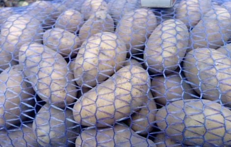 Реалізуємо картоплю середнього калібру сорту Гранада оптом