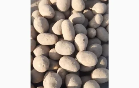 Продам посадкову Арізону від 10т