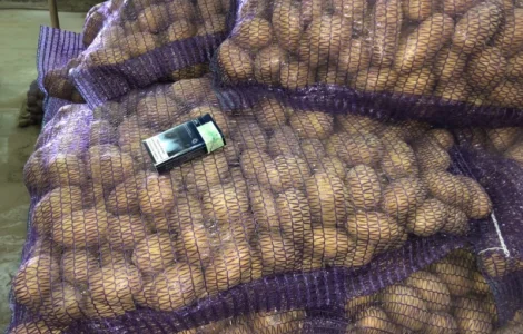 Продам Товарный и Посадочный картофель! Спеши