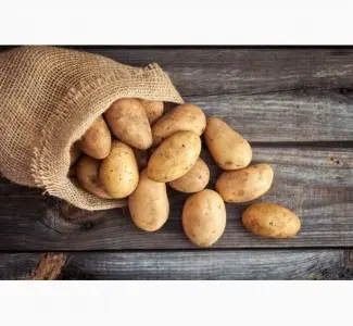 Куплю картофель