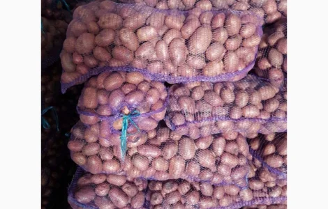 Продам товарный картофель Казахстан