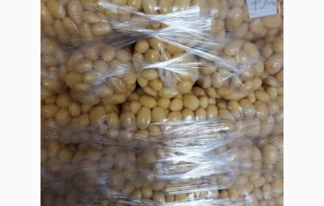 Картошка молодая