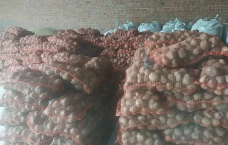 Продам товарний картофель