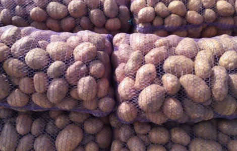 Продам картофель отличного качества