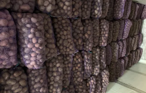 Продам картоплю