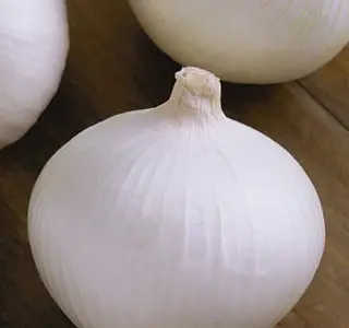 Продам семена Лук Белянка