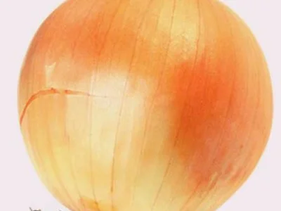 Продается семена лука Золотистый