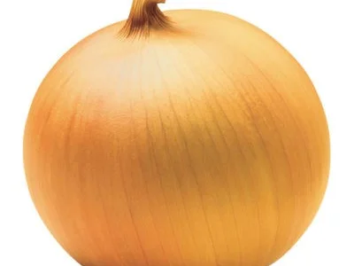 Продается семена лука Донецкий золотистый