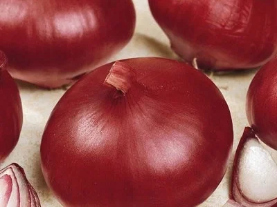 Продается семена лука Рубин