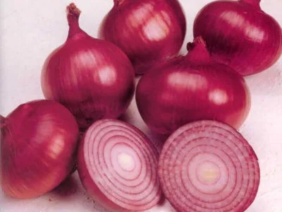 Продам семена Лук полуострый Веселка