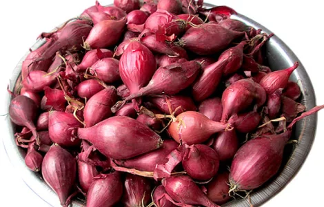 Продам лук-севок Ред Барон