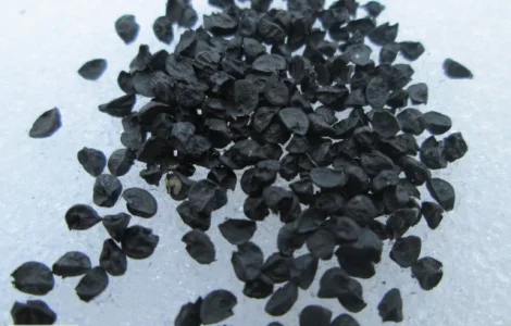 Семена лука Халцедон с высокой урожайностью