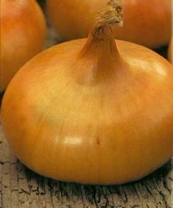 Семена лука сорт Штутгартен ризен урожай 2022 года всхожесть 94%