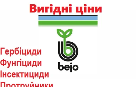 Профессиональные семена моркови Vilmorin Франция, Bejo Голландия, Seminis, (Оптовые цены)