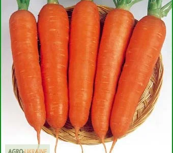 Продаются семена моркови Ням-ням