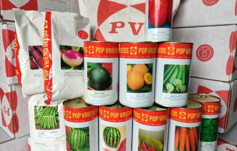 Насіння Морква столова Шантане Нантес Берлікум Флакке