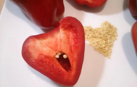 Семена сладкого перца Микс 2023 года