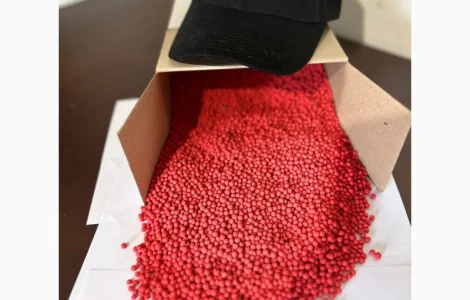 Насіння цукрового буряка АВАЛОН РС – стійкий до гліфосату