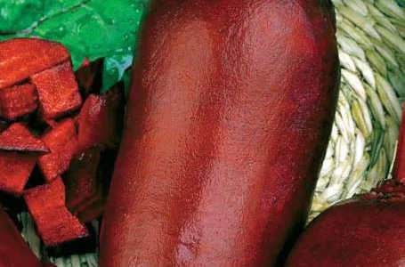 Пропонуються семена столового буряка з Польщі