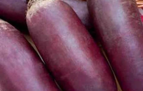 Продам семена Свекла Атаман