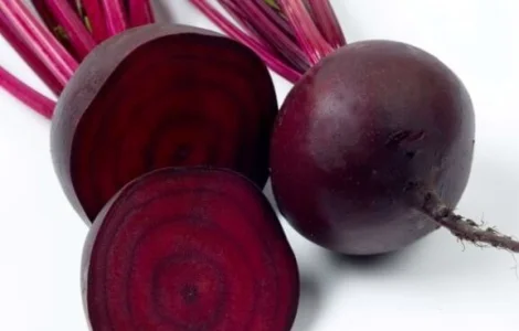 Продается семена свеклы Кестрел F1