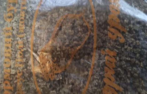 Продам насіння кормового буряка урсус полі