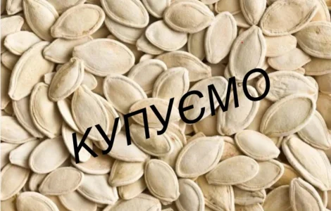 Купуємо насіння гарбуза гарбузове насіння